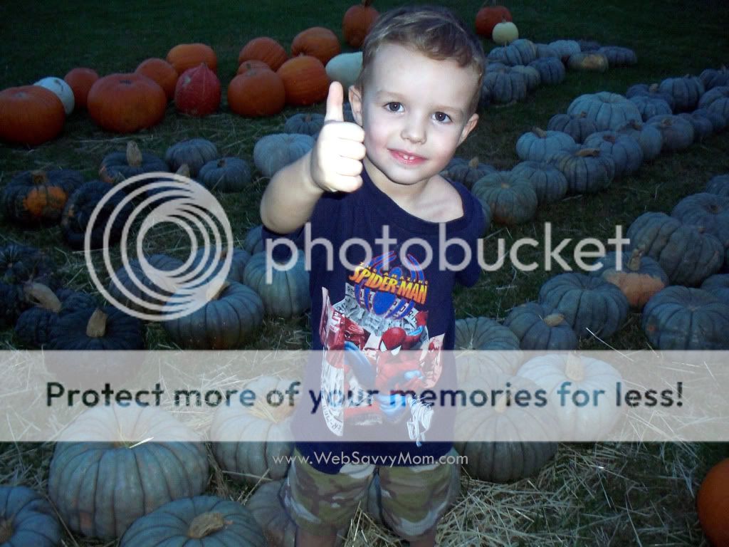halloween, pumpkins, Troy