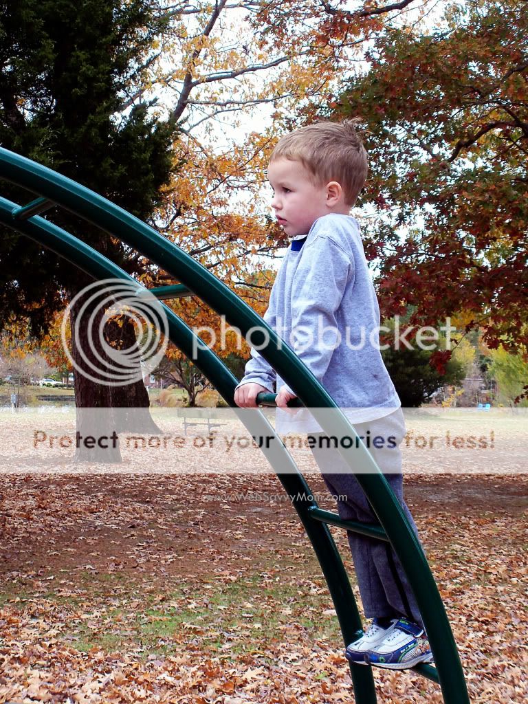 Thanksgiving - Troy at the park - November 2010
