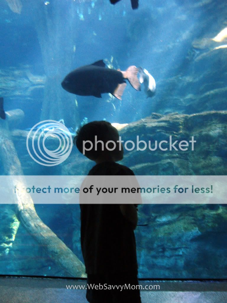 Sea World