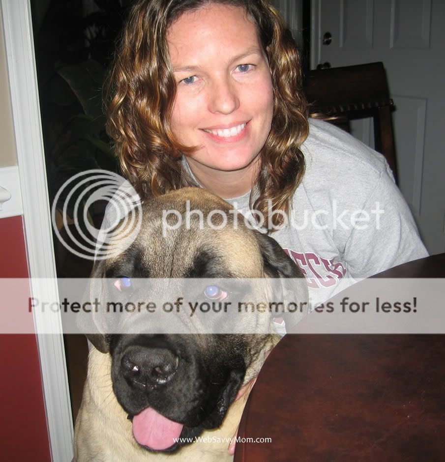 Eli the English Mastiff and Deb - New Year's Eve 2008