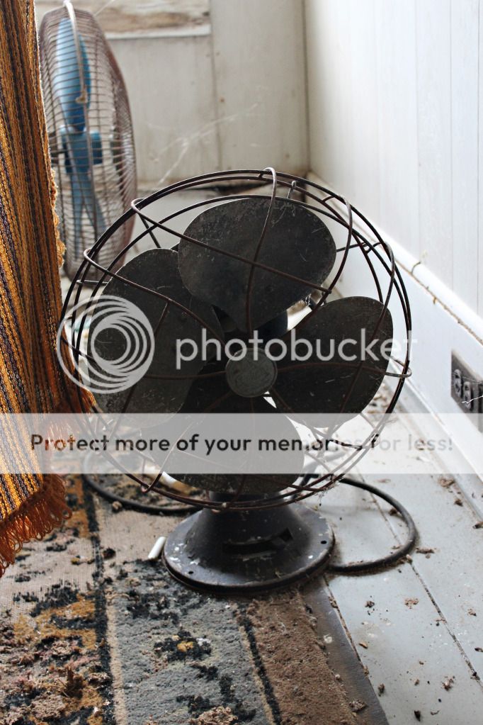Old fan