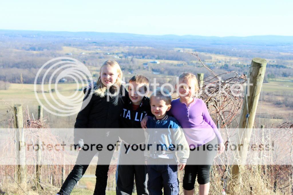 photo IMG_8115_zps966ef0ae.jpg