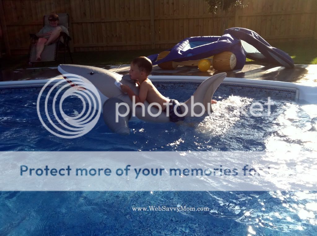 Shark in the Water - July 2011