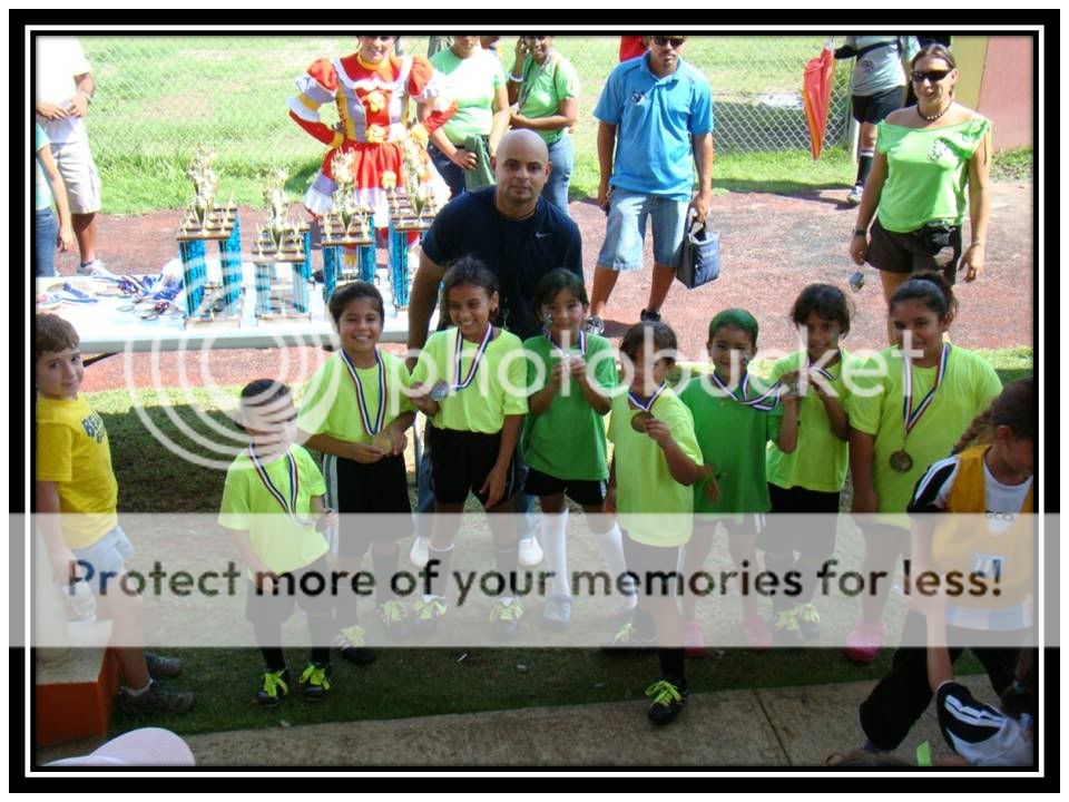 PR Dragonflies U-8