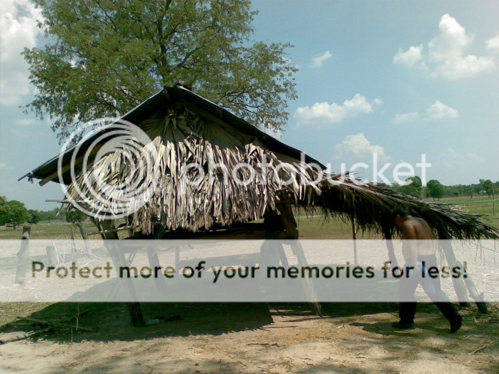 Posted Image