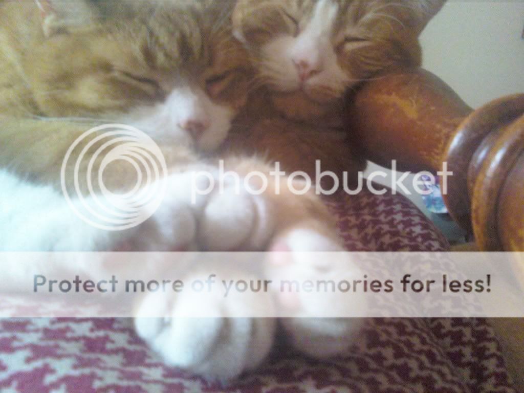 Posted Image