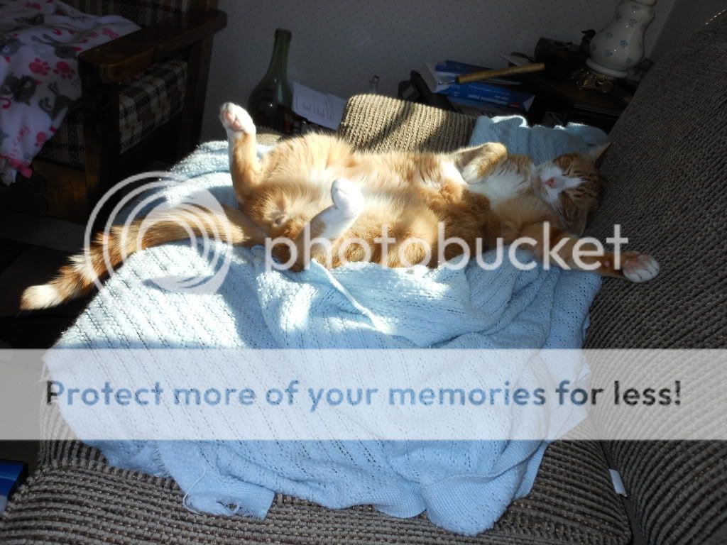 Posted Image