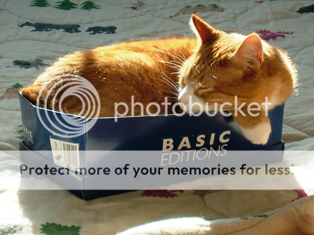 Posted Image