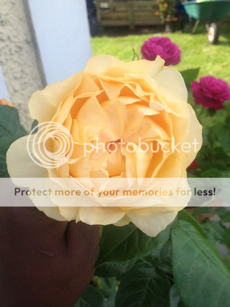 Photobucket Pictures, Images and Photos