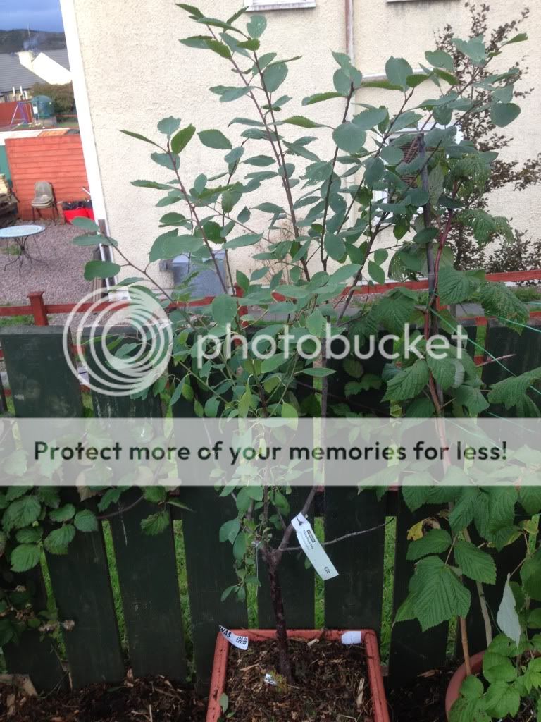 Photobucket Pictures, Images and Photos