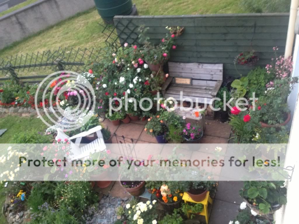 Photobucket Pictures, Images and Photos