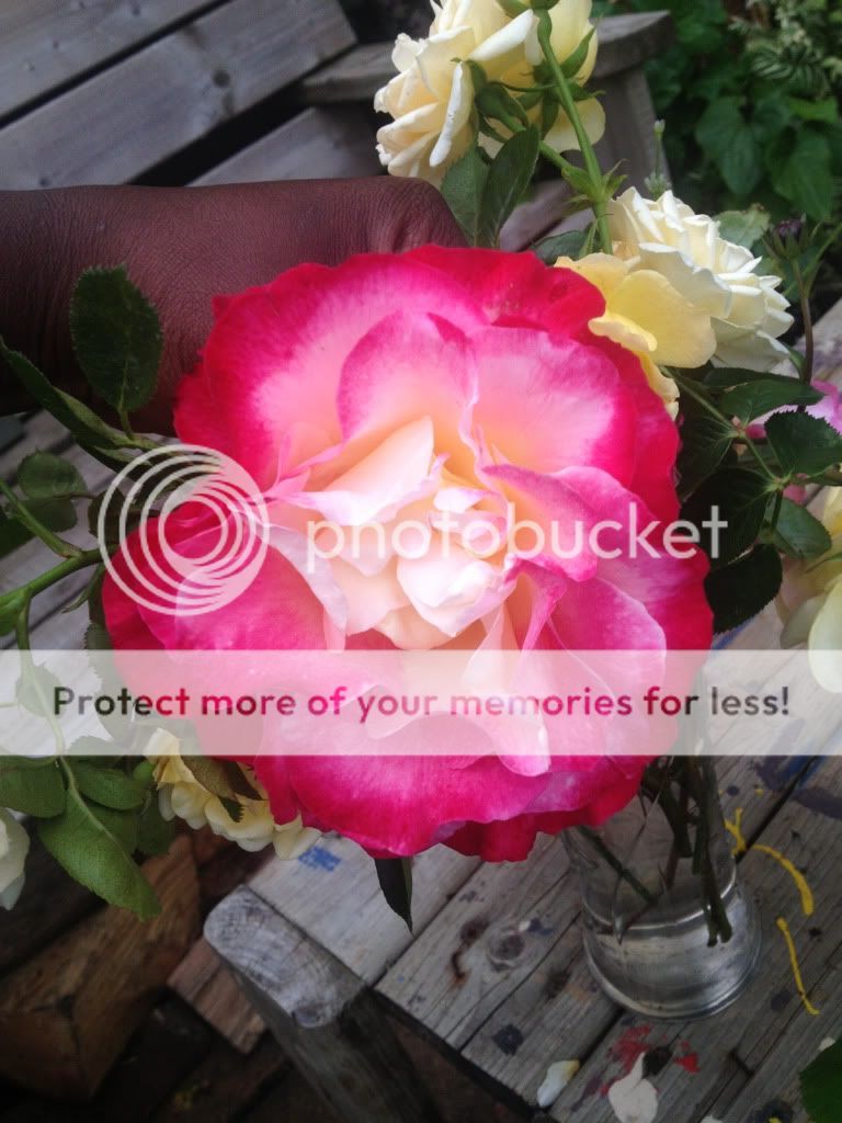 Photobucket Pictures, Images and Photos