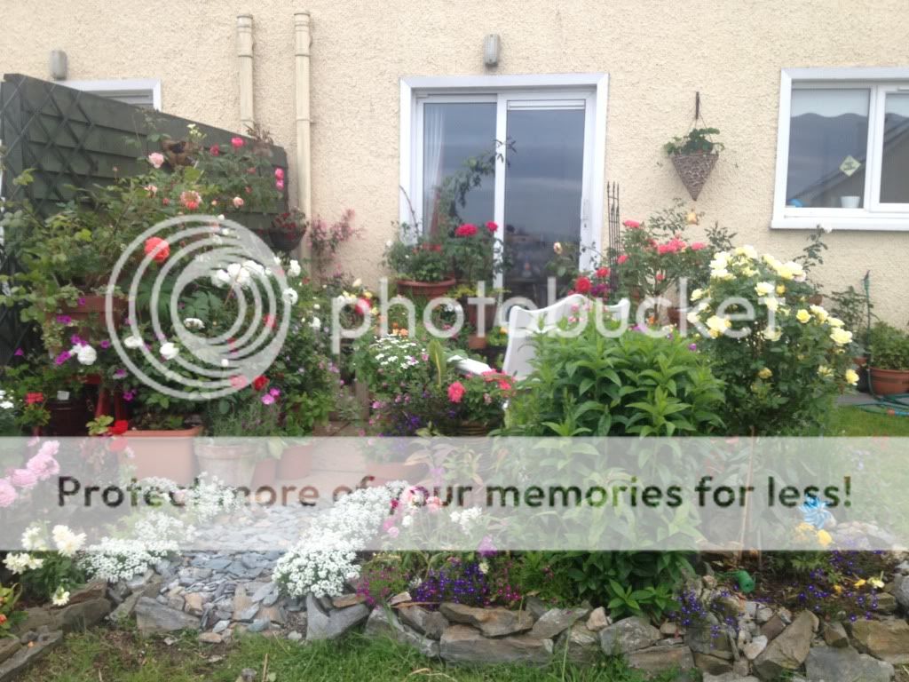 Photobucket Pictures, Images and Photos