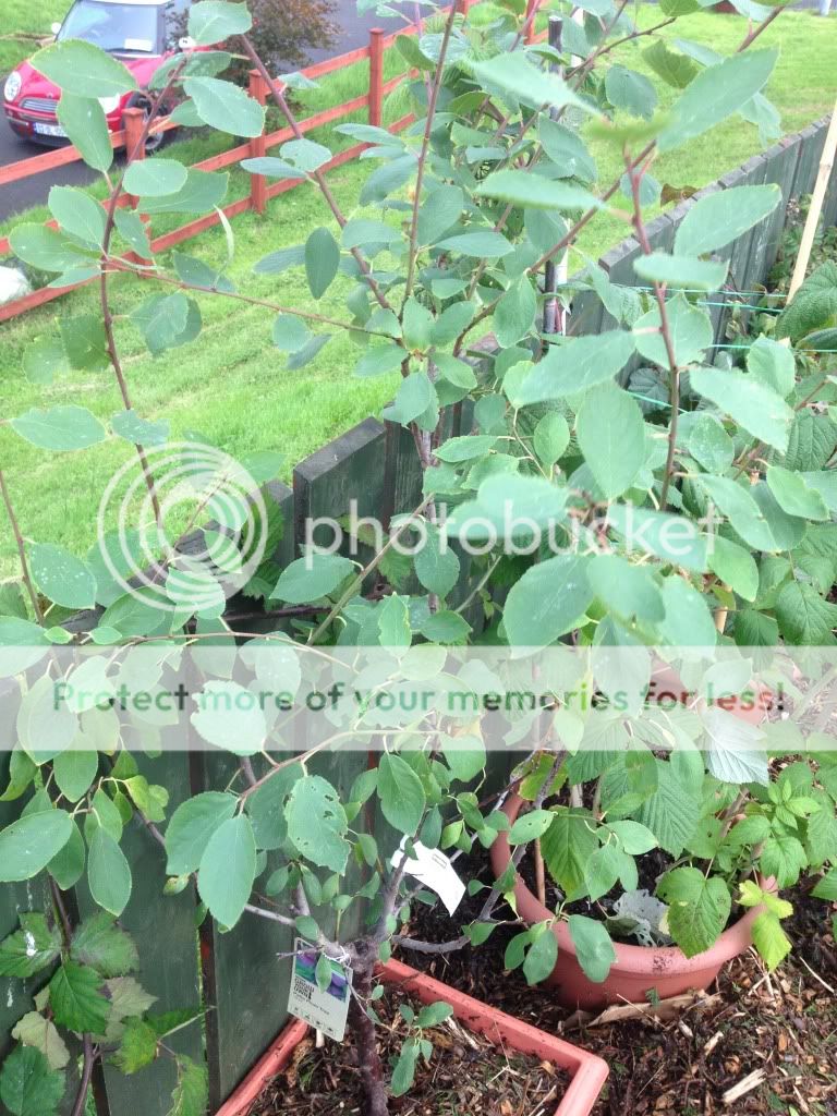 Photobucket Pictures, Images and Photos