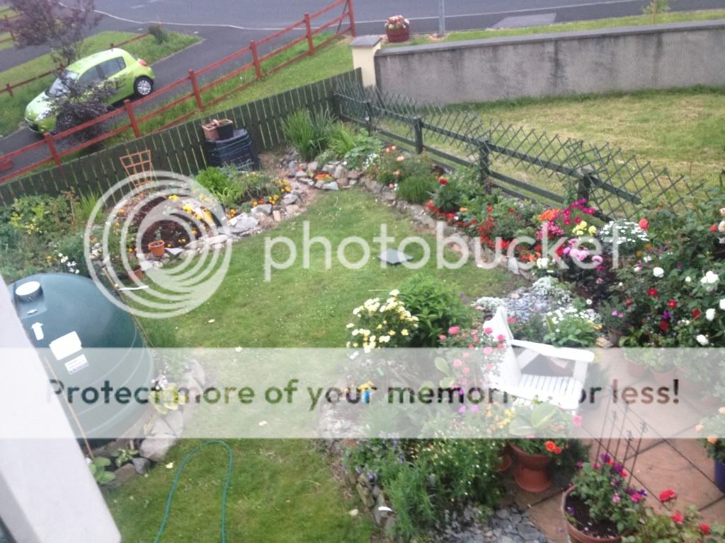 Photobucket Pictures, Images and Photos