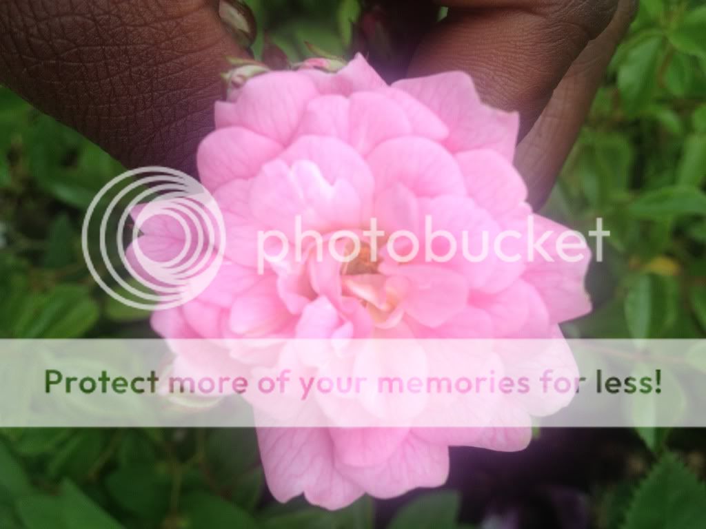 Photobucket Pictures, Images and Photos