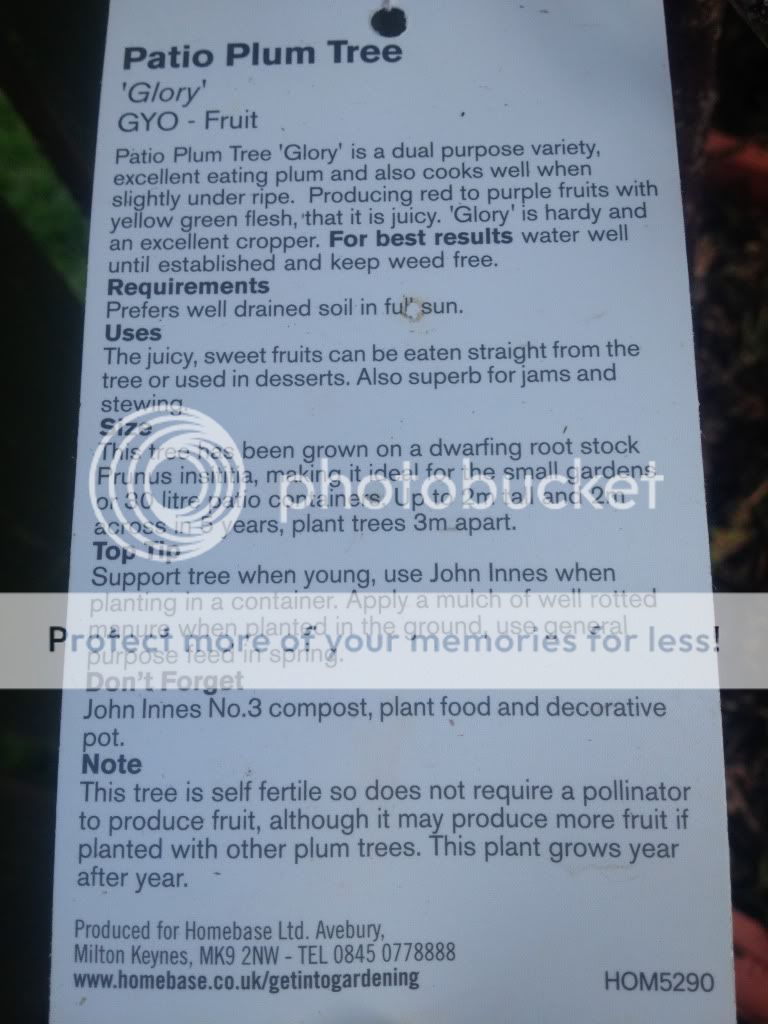 Photobucket Pictures, Images and Photos