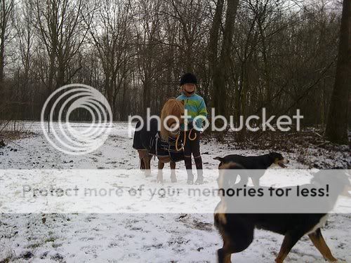 Catotje, Femke, Saartje en Bliksem