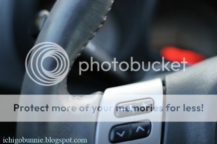 photo IMG_6361watermark_zpsda2aed38.jpg