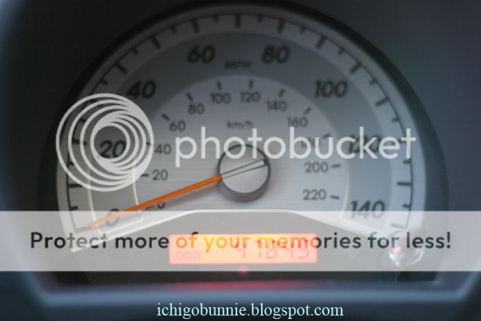 photo IMG_6363watermark_zpsfddf1b3e.jpg