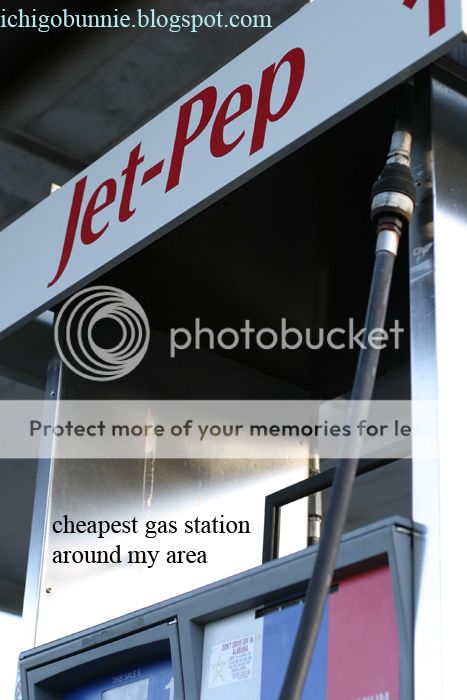 photo IMG_6365watermark_zpsaa4fe825.jpg
