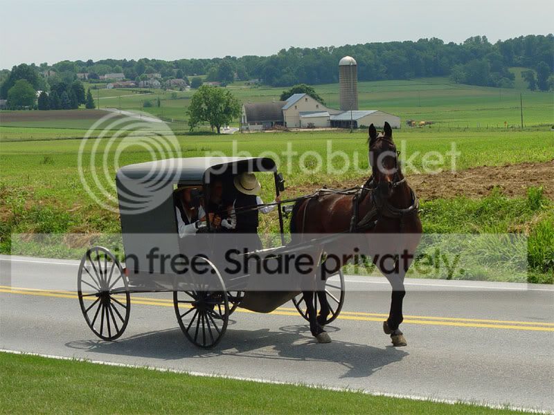Lancaster_County_Amish_03.jpg